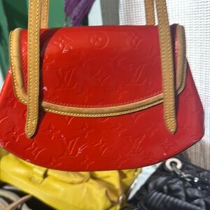 Louis Vuitton Biscayne Bay PM Comes With Dustbag